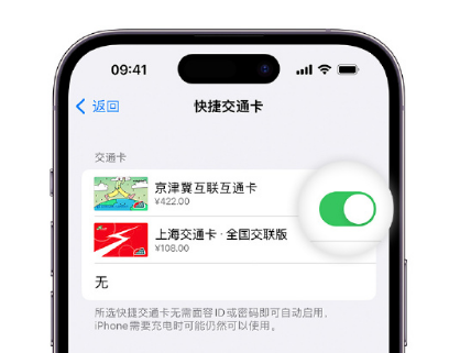 皋兰apple维修点分享iPhone上更换Apple Pay快捷交通卡手绘卡面 