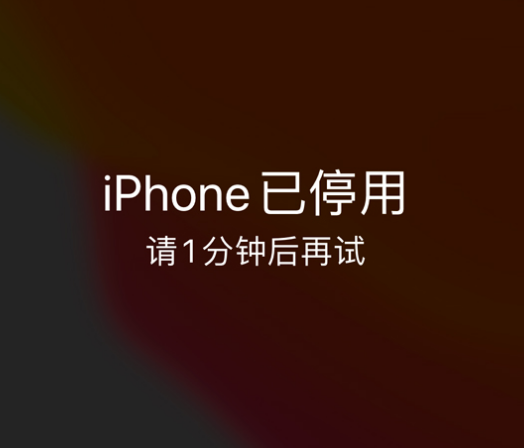 皋兰苹果手机维修分享:iPhone 显示“不可用”或“已停用”怎么办？还能保留数据吗？ 