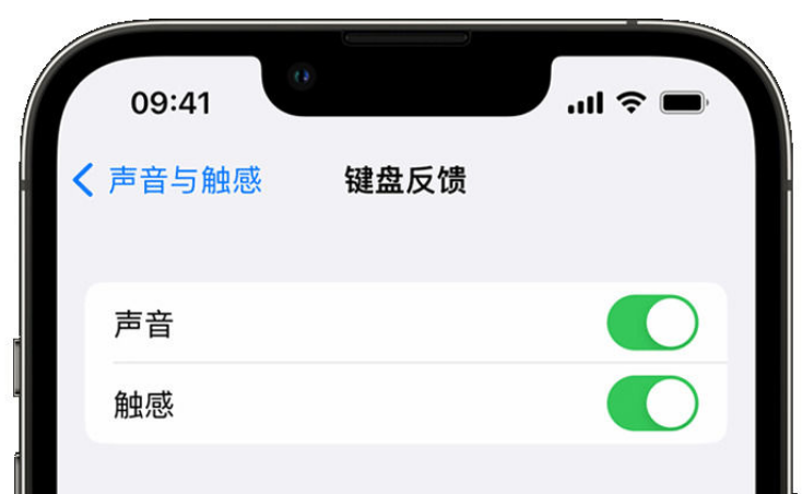 皋兰苹果手机维修分享iPhone 14触感键盘使用方法 