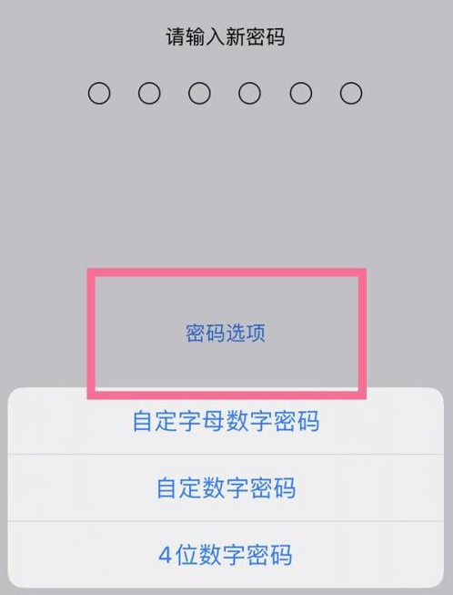 皋兰苹果14维修分享iPhone 14plus设置密码的方法 