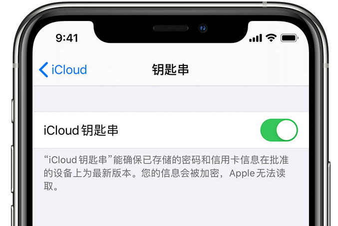 皋兰苹果手机维修分享在 iPhone 上开启 iCloud 钥匙串之后会储存哪些信息 